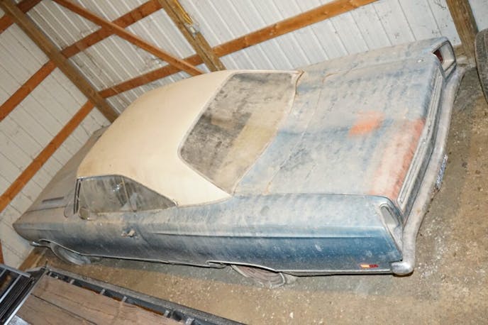 Hidden gems at 2025 MCACN show (3)